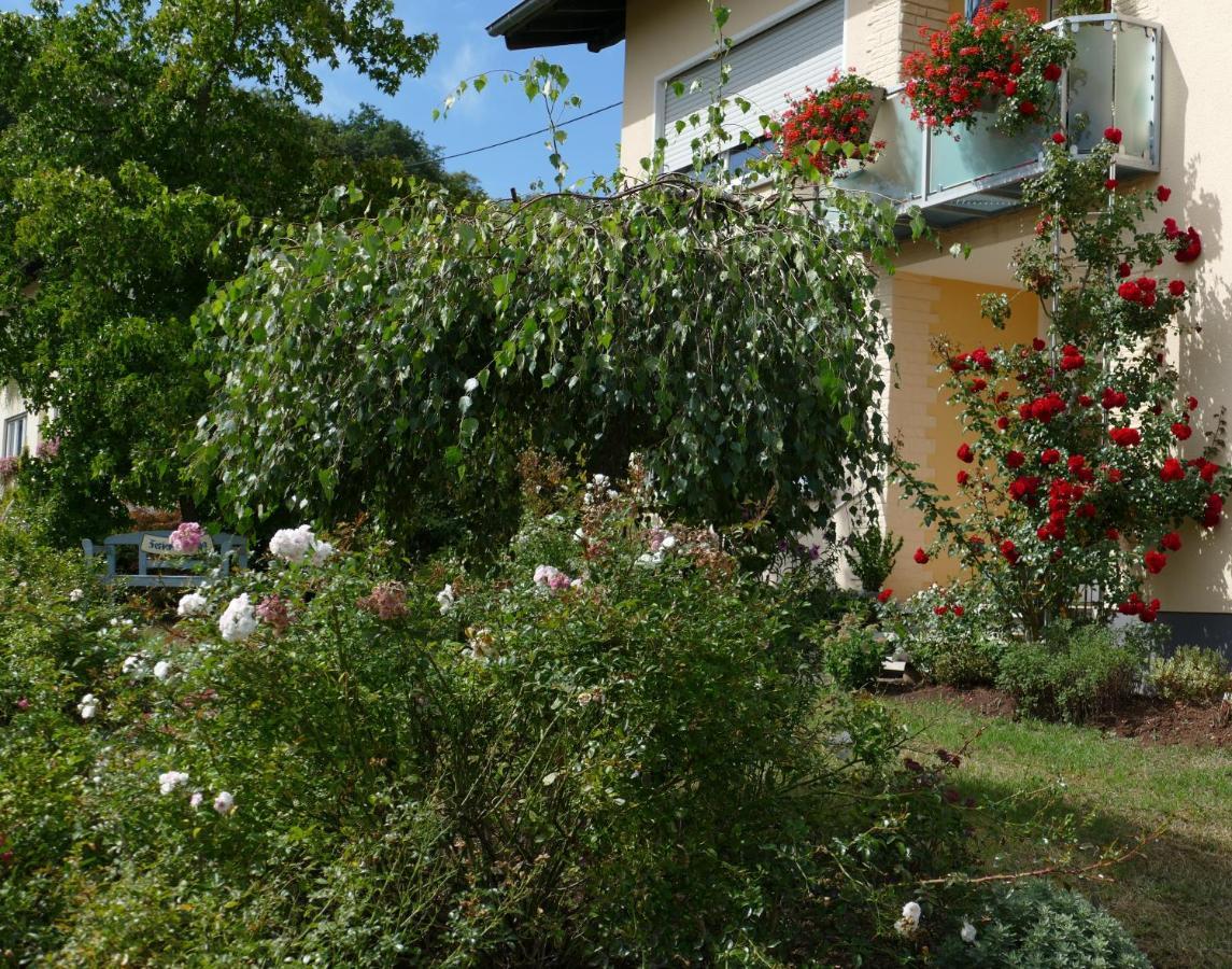 Kirsch Apartment